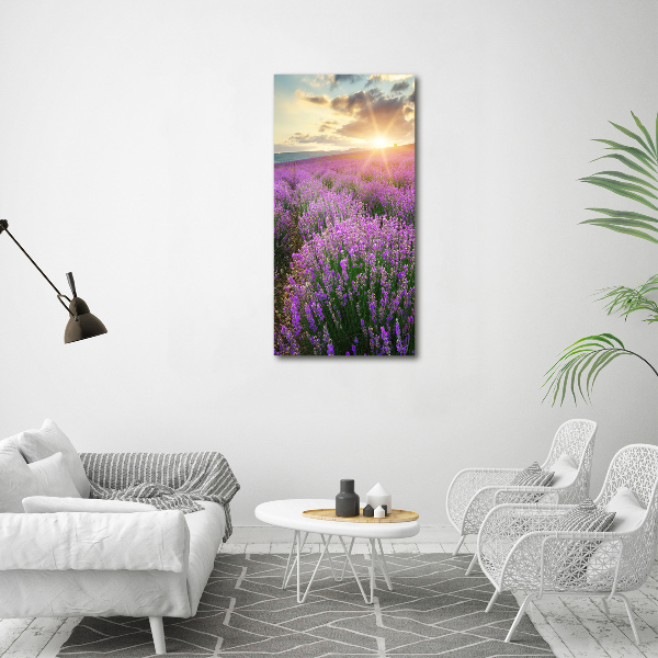 Large canvas wall art Lavender field