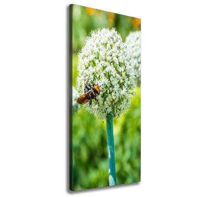 Large canvas wall art Garlic flowers