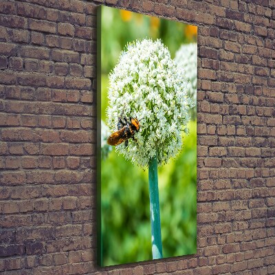 Large canvas wall art Garlic flowers