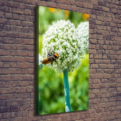 Large canvas wall art Garlic flowers