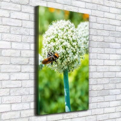 Large canvas wall art Garlic flowers