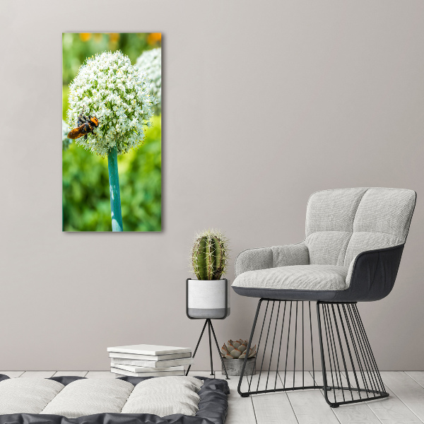 Large canvas wall art Garlic flowers