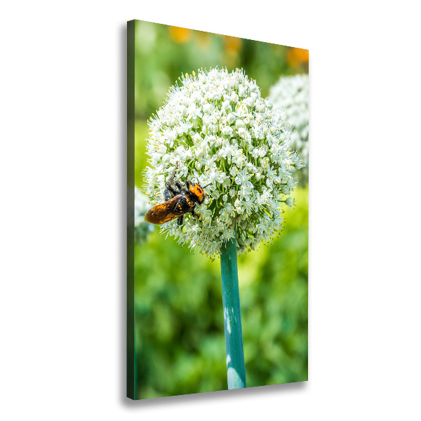 Large canvas wall art Garlic flowers