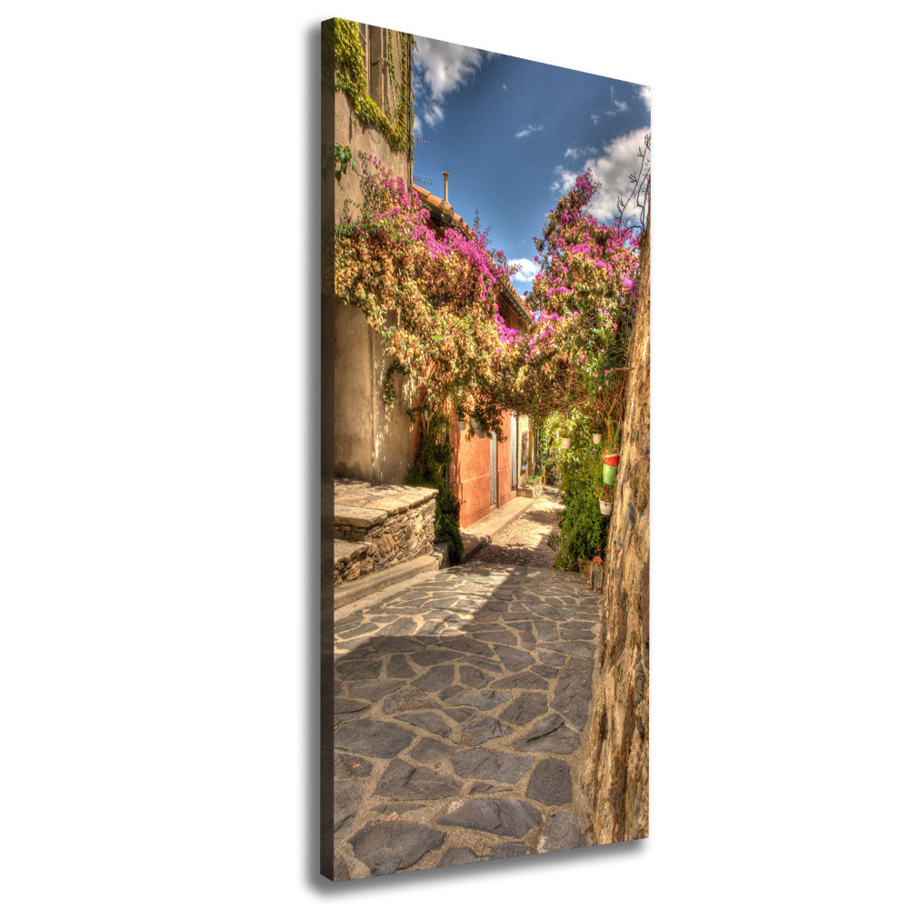 Picture canvas print French streets