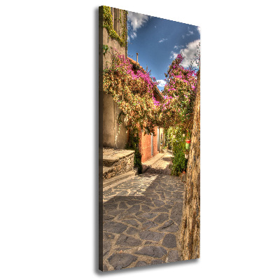 Picture canvas print French streets