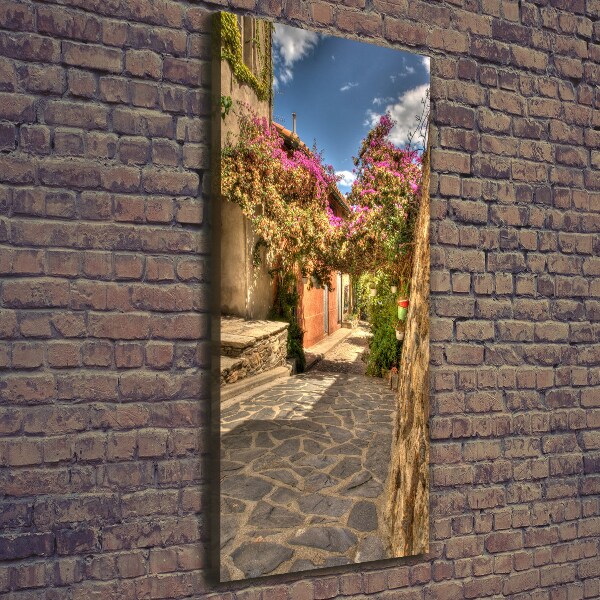 Picture canvas print French streets