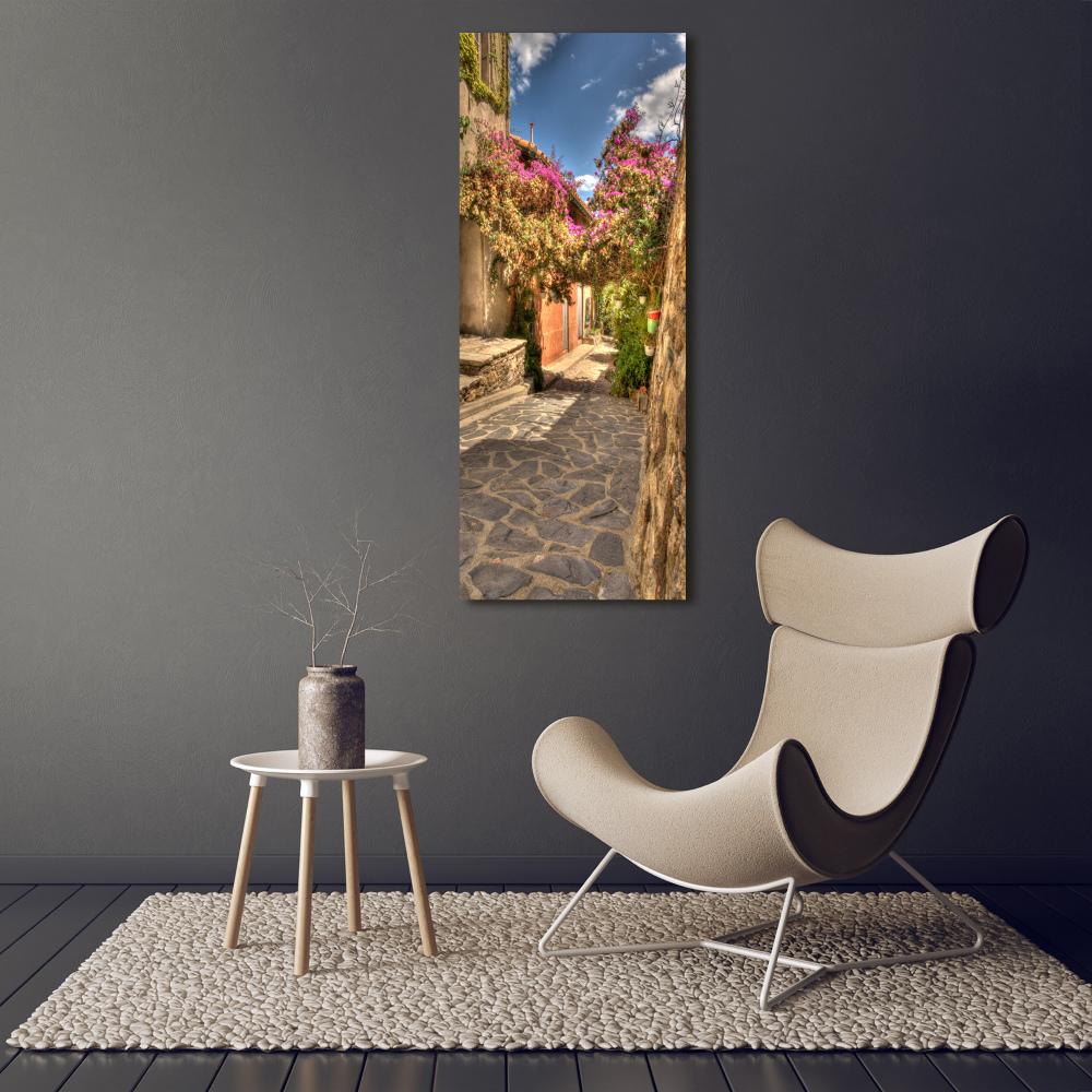 Picture canvas print French streets