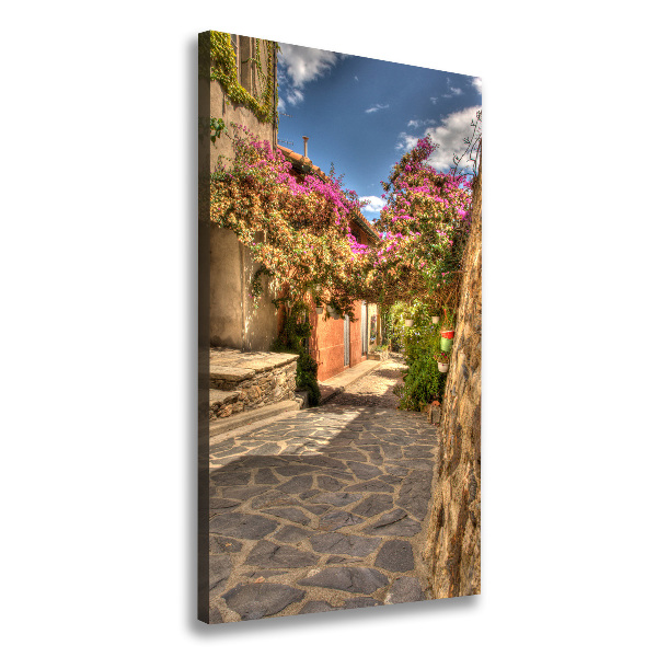 Picture canvas print French streets