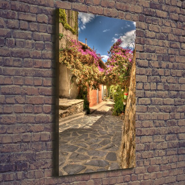 Picture canvas print French streets