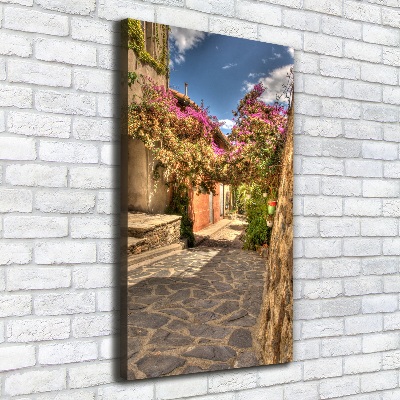 Picture canvas print French streets