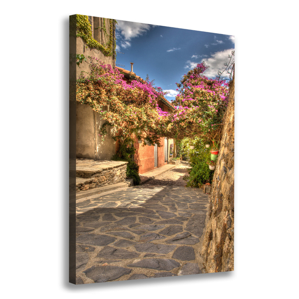 Picture canvas print French streets