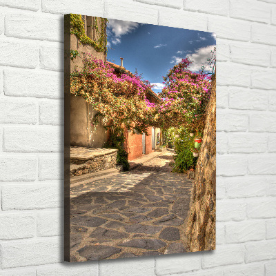 Picture canvas print French streets