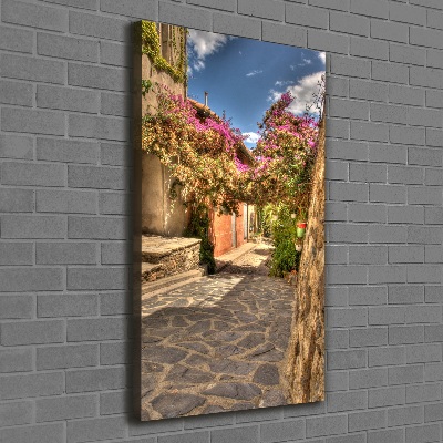 Picture canvas print French streets