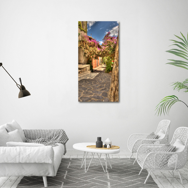 Picture canvas print French streets