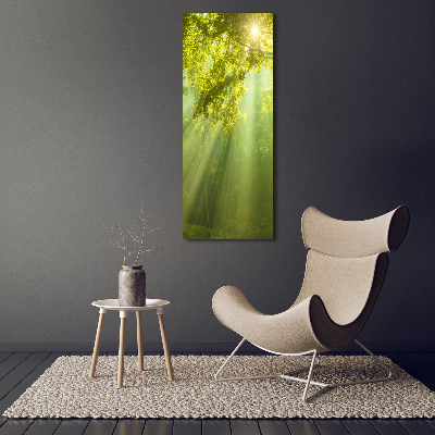 Canvas print The sun in the forest