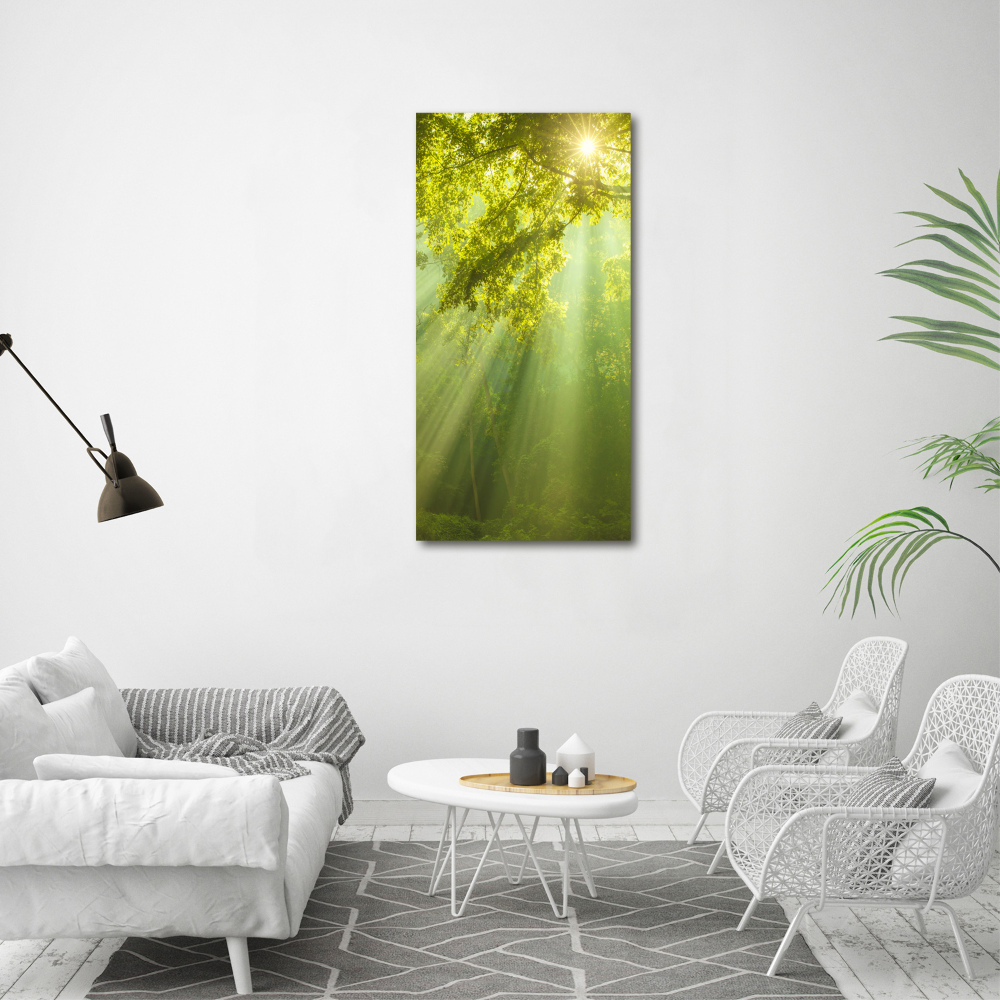 Canvas print The sun in the forest