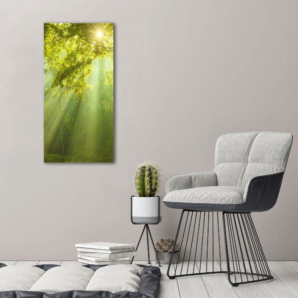 Canvas print The sun in the forest