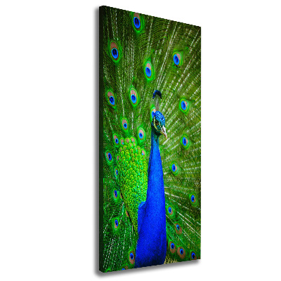 Large canvas wall art Peacock