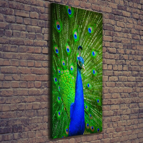 Large canvas wall art Peacock