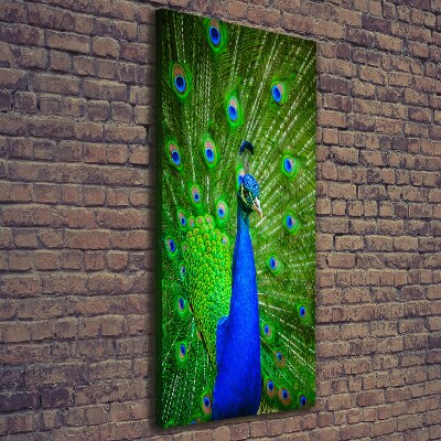 Large canvas wall art Peacock