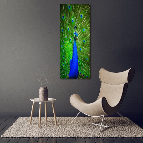 Large canvas wall art Peacock