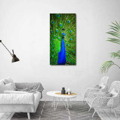 Large canvas wall art Peacock