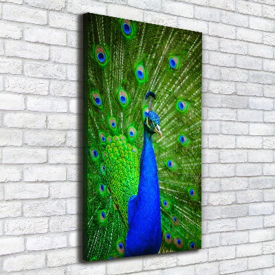 Large canvas wall art Peacock