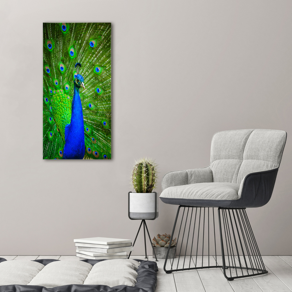 Large canvas wall art Peacock