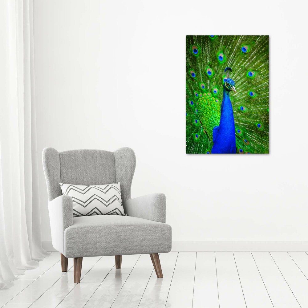 Large canvas wall art Peacock