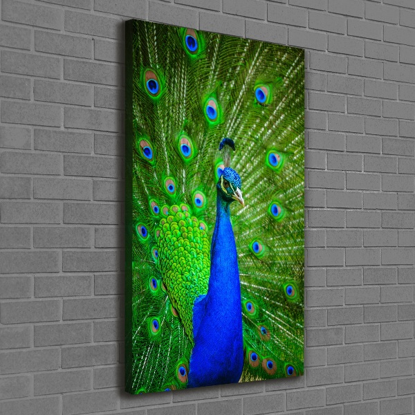 Large canvas wall art Peacock