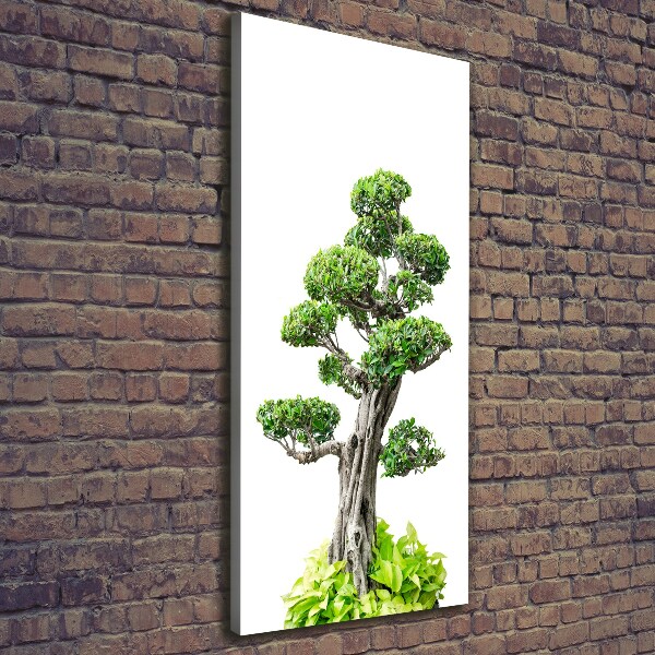 Wall art canvas large Bonsai tree