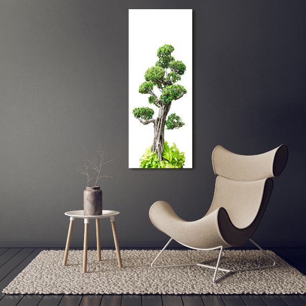 Wall art canvas large Bonsai tree