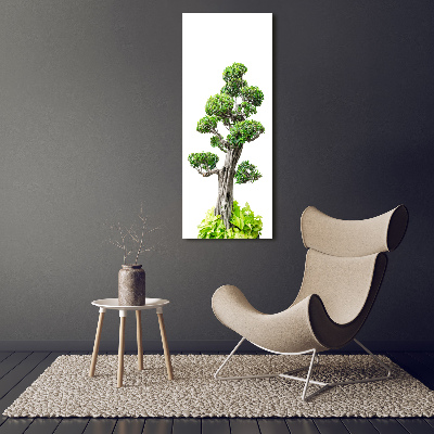 Wall art canvas large Bonsai tree