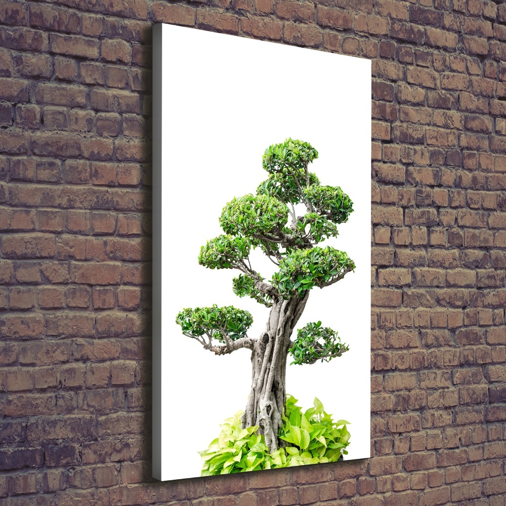 Wall art canvas large Bonsai tree