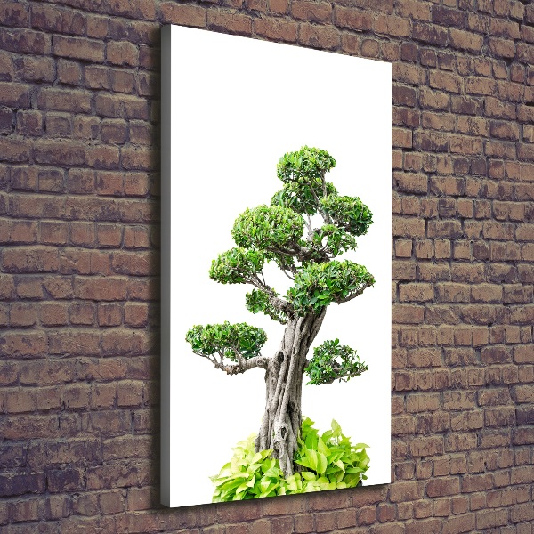 Wall art canvas large Bonsai tree