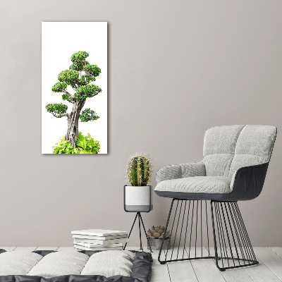 Wall art canvas large Bonsai tree