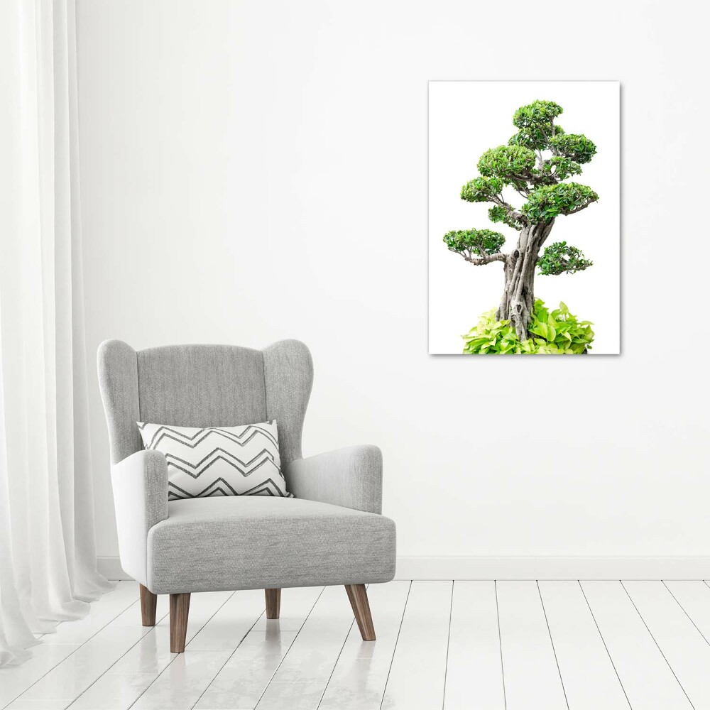 Wall art canvas large Bonsai tree