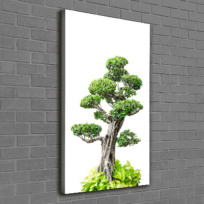 Wall art canvas large Bonsai tree