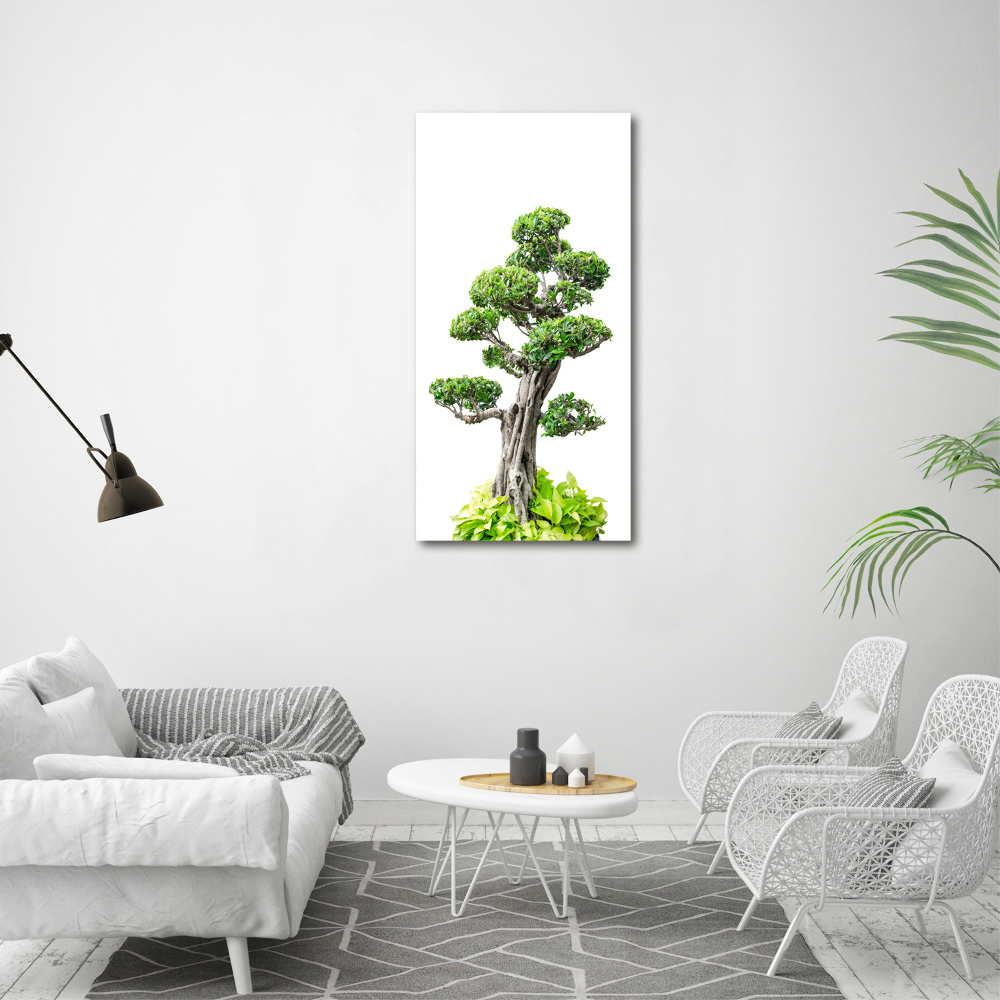 Wall art canvas large Bonsai tree