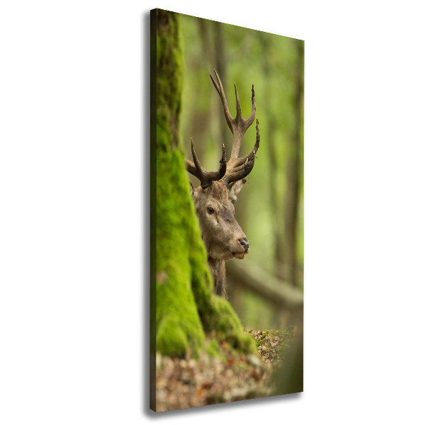 Large canvas wall art Deer