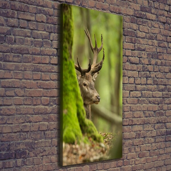 Large canvas wall art Deer