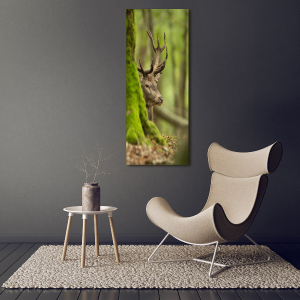 Large canvas wall art Deer