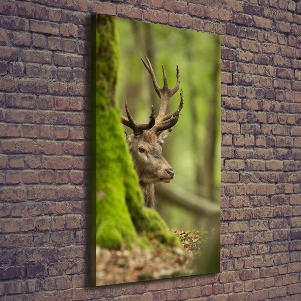 Large canvas wall art Deer