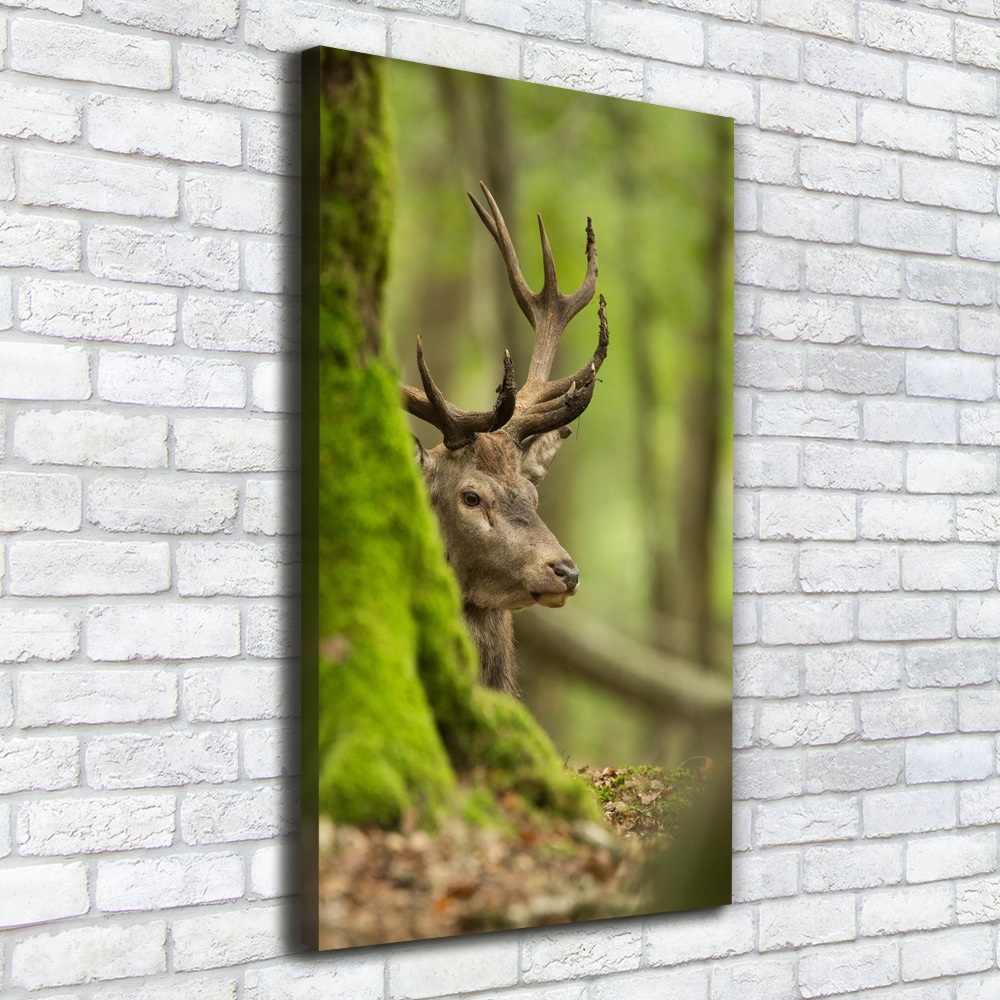 Large canvas wall art Deer