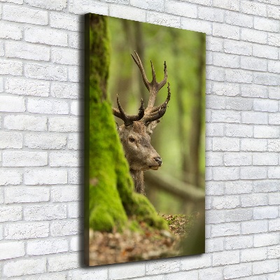 Large canvas wall art Deer