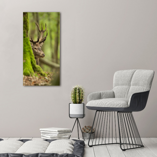 Large canvas wall art Deer