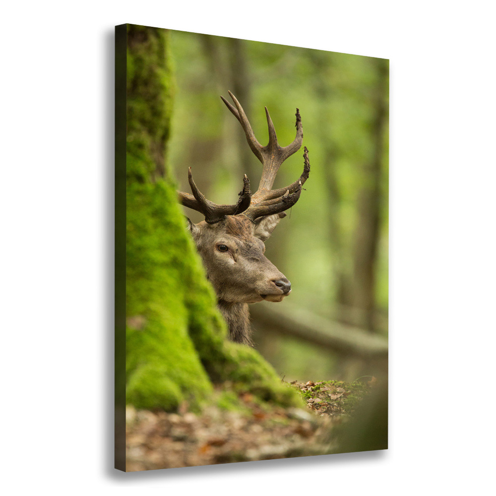 Large canvas wall art Deer