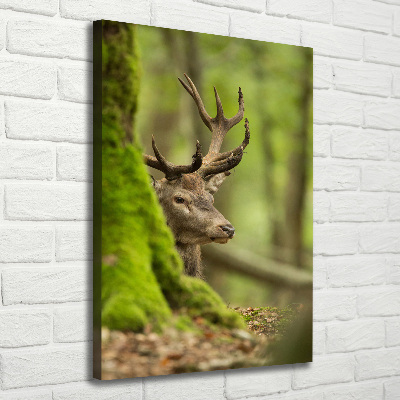 Large canvas wall art Deer