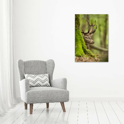 Large canvas wall art Deer