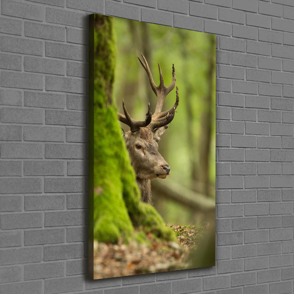 Large canvas wall art Deer